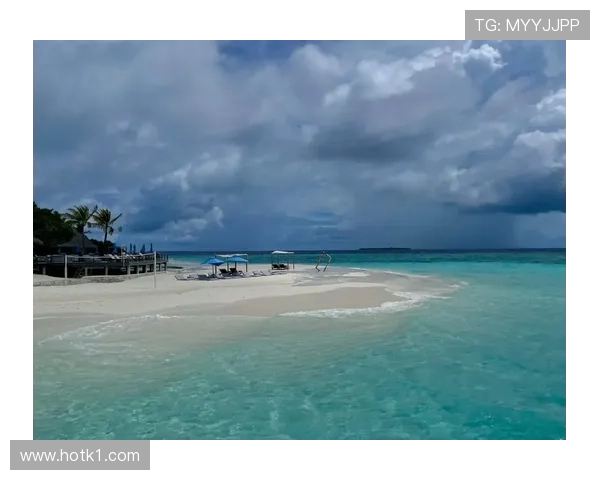 大阪刚在马尔代夫买岛，训练计划是每天醒来看海发呆？